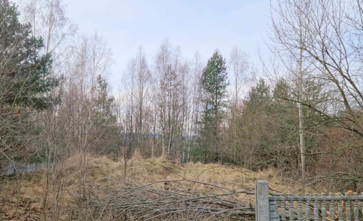 parcel for sale - Łączna, Czerwona Górka