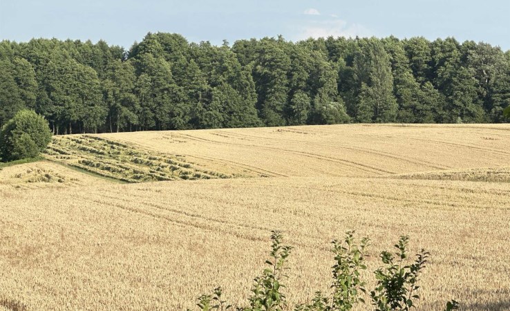 działka na sprzedaż - Opatów