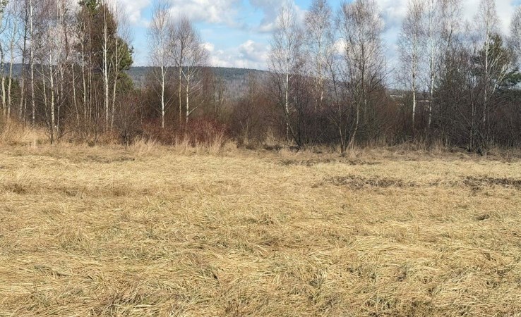 działka na sprzedaż - Miedziana Góra, Tumlin